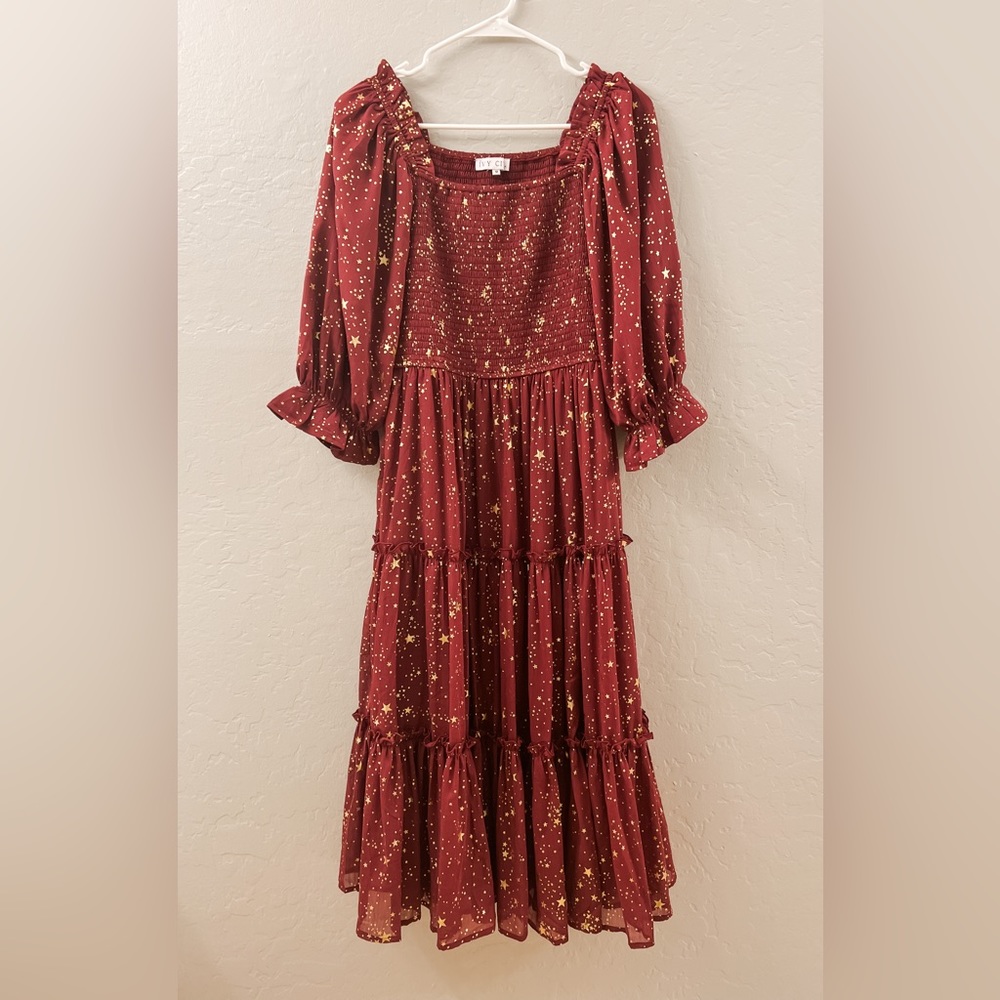 Ivy City Co Starry Nights Dress in Maroon | Women’s Medium
